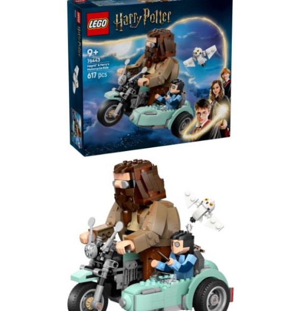 Конструктор LEGO Harry Potter Поїздка Геґріда й Гаррі на мотоциклі (76443)