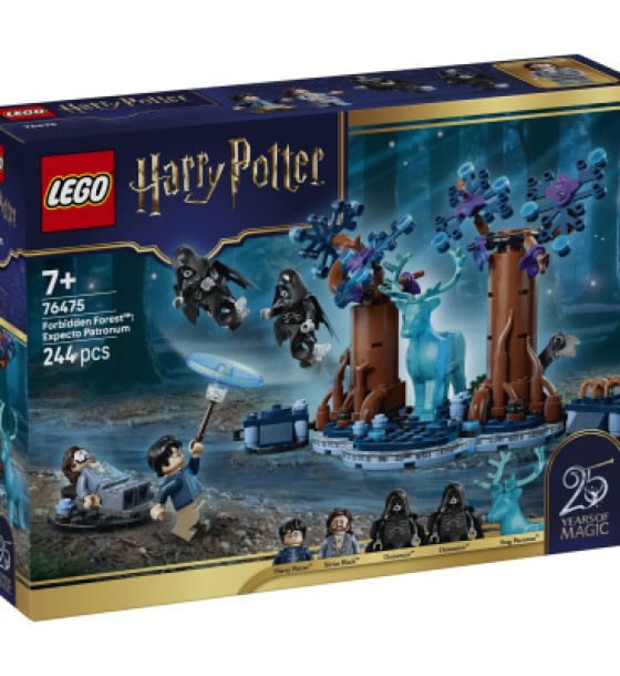 Конструктор LEGO Harry Potter Заборонений ліс: Експекто патронум (76475)