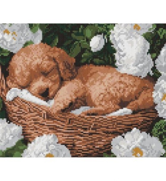 Алмазна мозаїка "Сплячий пудель" 30x40см