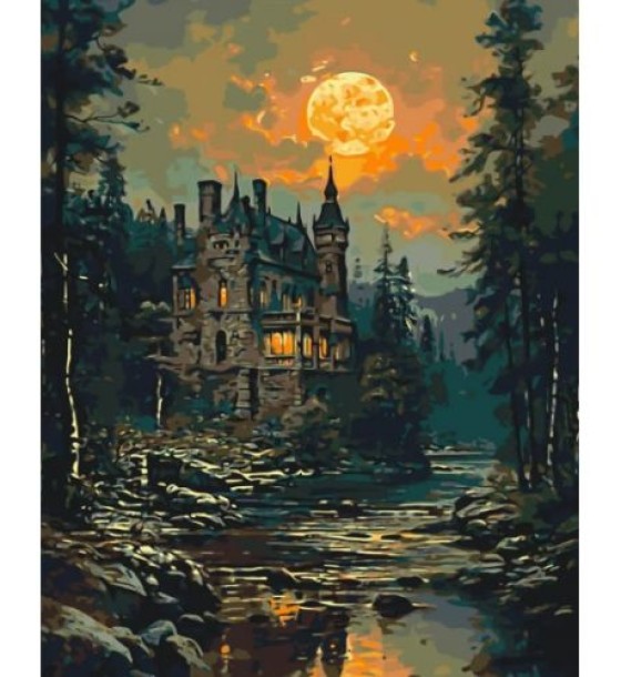 Картина за номерами "Таємничий замок" 40*50 см