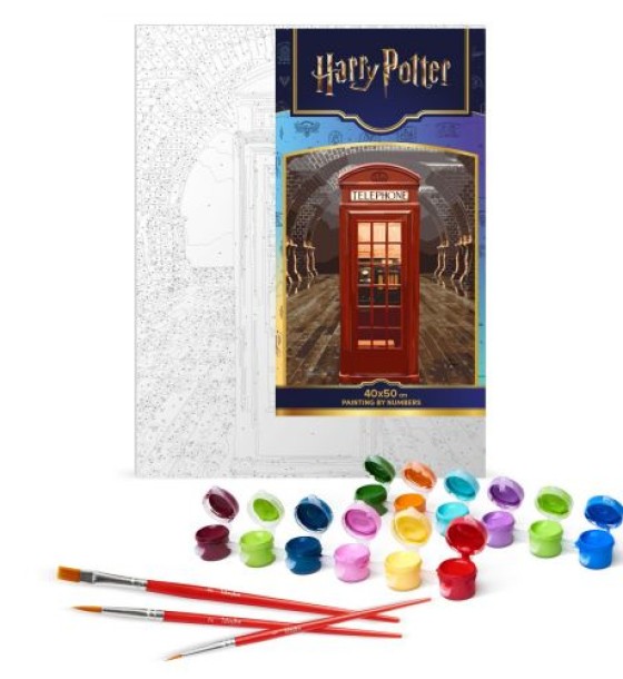 Картина за номерами "Harry Potter: Магічний вхід" 40х50см