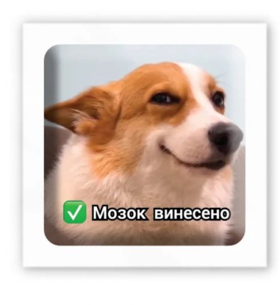 3D стікер "Мозок винесено" (ціна за 1 шт)