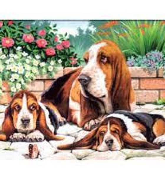 Набір для творчості Sequin Art PAINTING BY NUMBERS SENIOR Basset Hounds (SA0044)