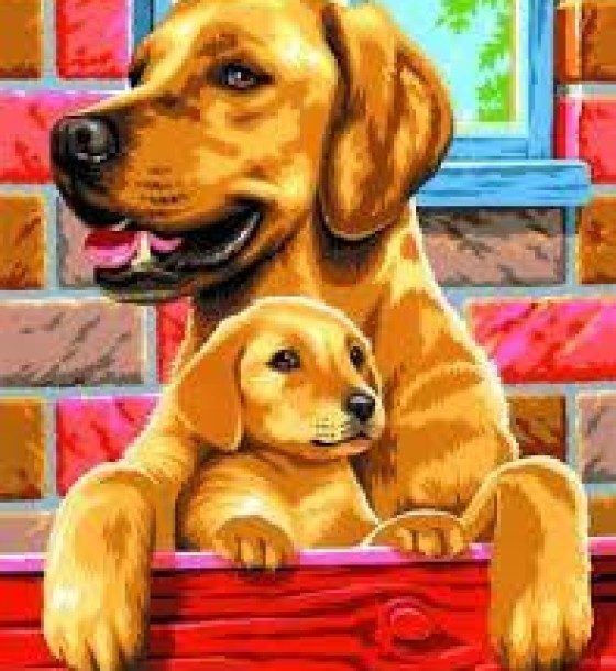 Набір для творчості Sequin Art PAINTING BY NUMBERS JUNIOR-PAIRS Dogs (SA0214)