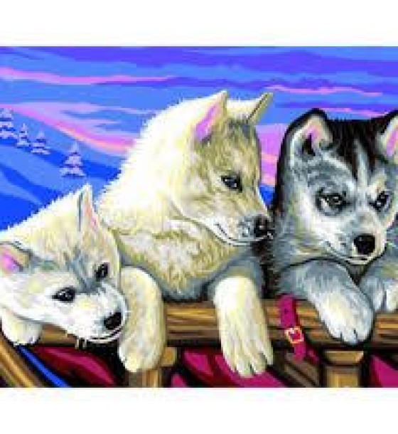 Набір для творчості Sequin Art PAINTING BY NUMBERS SENIOR Huskies (SA1036)