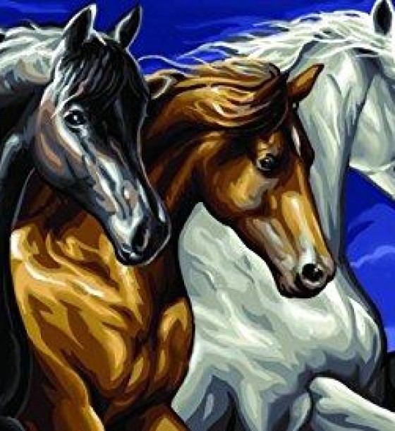 Набір для творчості Sequin Art PAINTING BY NUMBERS SENIOR Wild Horses (SA1040)