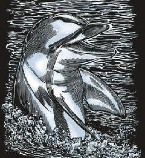 Набір для творчості Sequin Art ARTFOIL SILVER Dolphin (SA0608)