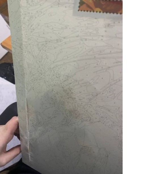 Уцінка. Картина по номерах "Український котик" 40x50 см порізане полотно