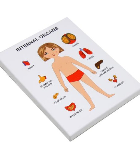 Пазли навчальні "Internal Organs: Дівчинка"