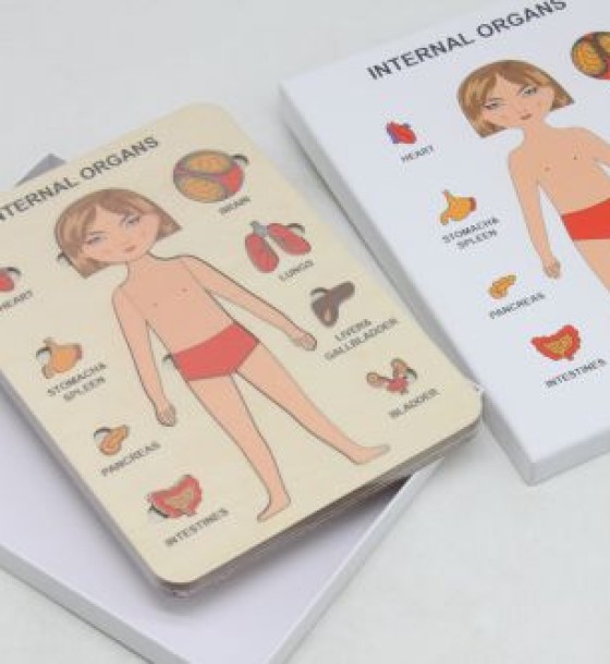 Пазли навчальні "Internal Organs: Дівчинка"