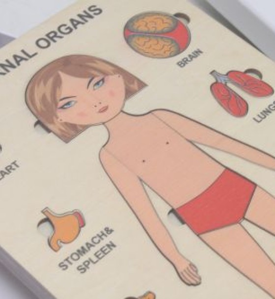 Пазли навчальні "Internal Organs: Дівчинка"