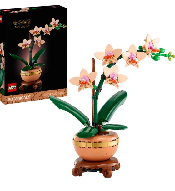 Конструктор LEGO Botanicals Міні орхідея (10343)