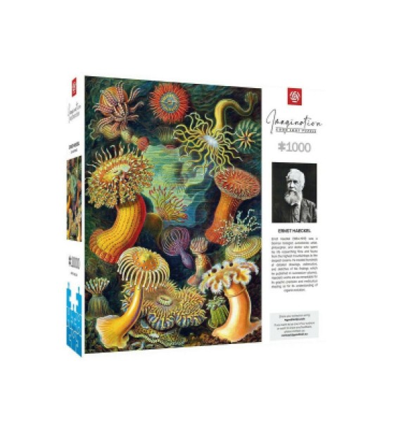 Пазл GoodLoot Imagination: Ernst Haeckel: Sea Anemones 1000 ел. (5908305244943)