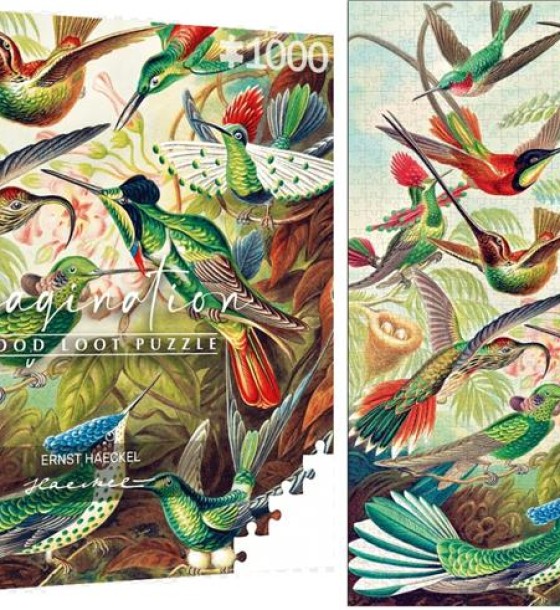 Пазл GoodLoot Imagination: Ernst Haeckel Hummingbirds/Kolibry 1000 елементів (5908305246794)