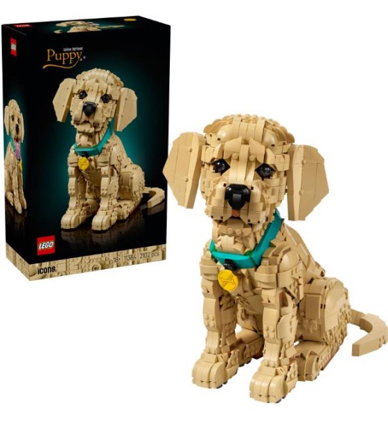 Конструктор LEGO Icons Цуценя золотистого ретривера (11384)