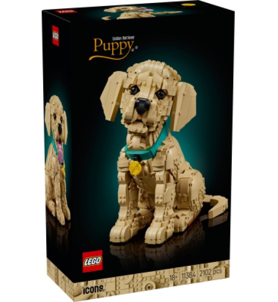 Конструктор LEGO Icons Цуценя золотистого ретривера (11384)