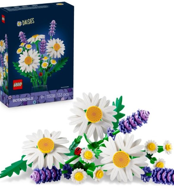 Конструктор LEGO Botanicals Ромашки (11508)