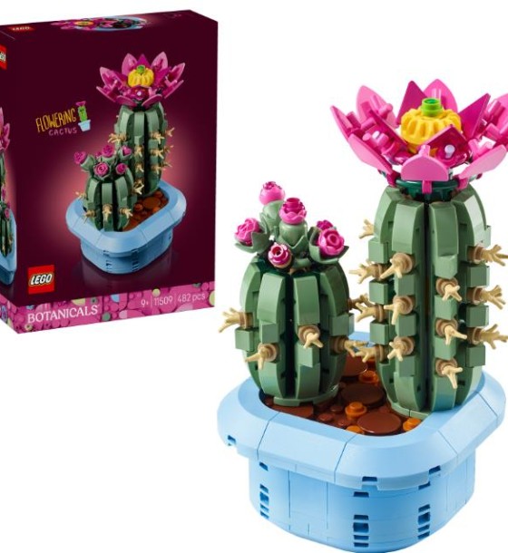 Конструктор LEGO Botanicals Цвітіння кактуса (11509)