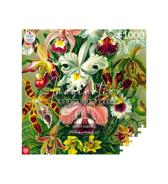 Пазл GoodLoot Imagination: Orchid Ernst Haeckel 1000 ел. (5908305247531)
