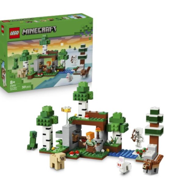 Конструктор LEGO Minecraft Пригода першої ночі (21593)