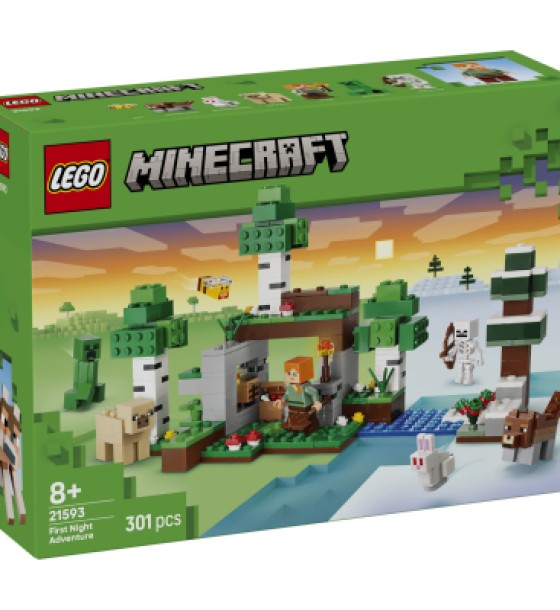 Конструктор LEGO Minecraft Пригода першої ночі (21593)