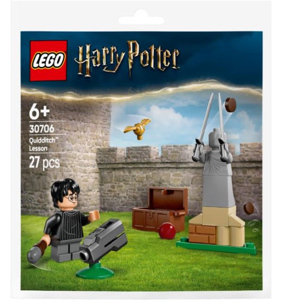 Конструктор LEGO Harry Potter Урок з Квідичу (30706)