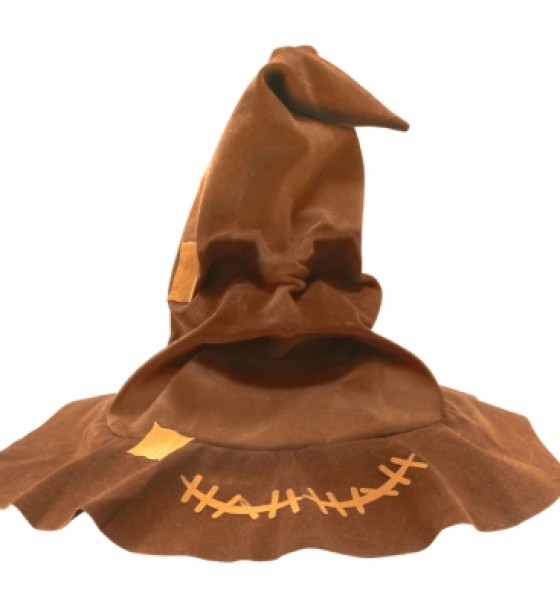 Конструктор Puremind Talking Sorting Hat (1632)