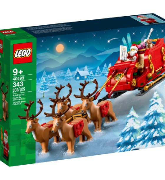 Конструктор LEGO Iconic Санчата Санти (40499)