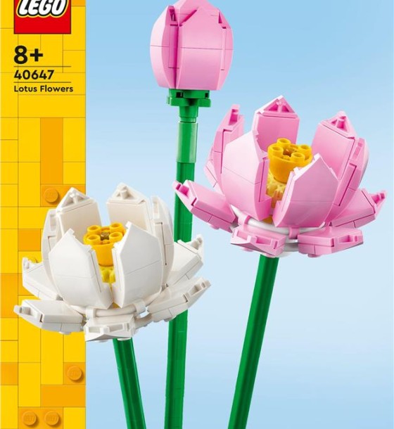 Конструктор LEGO Iconic Квіти лотоса 220 деталей (40647)