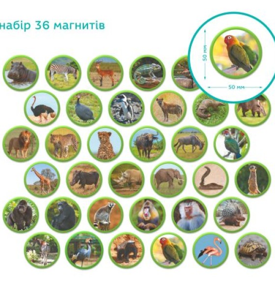 Магнітний набір Монтесорі «Тварини на континентах: Африка»
