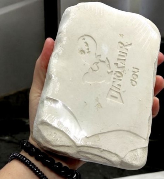 Набiр для розкопок "Fossil Detective: Динозавр Тиранозавр"