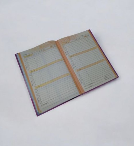 Щоденник шкільний Котик, 55г, 7БЦ, 165х240 мм, 40 арк., Матова ламінація, Вибірковий УФ-лак
