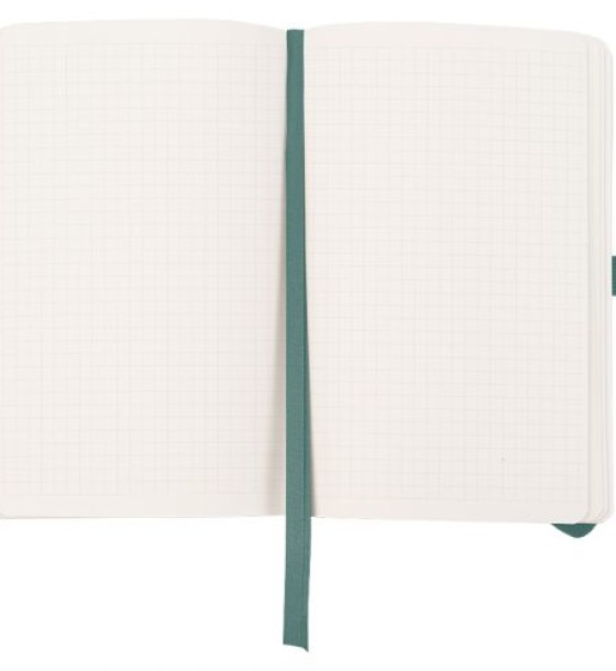Книга записна Partner Soft Skin,125*195, 96арк, кл.Воля