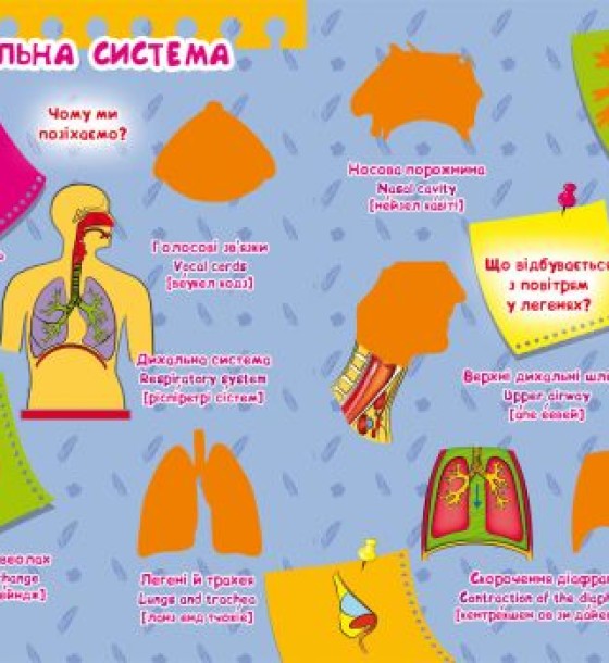 Велика книга "Розвиваючі наклейки. Розумні завдання. Тіло людини" (укр)
