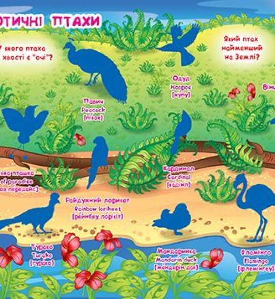 Велика книга "Розвиваючі наклейки. Розумні завдання. Птахи" (укр)