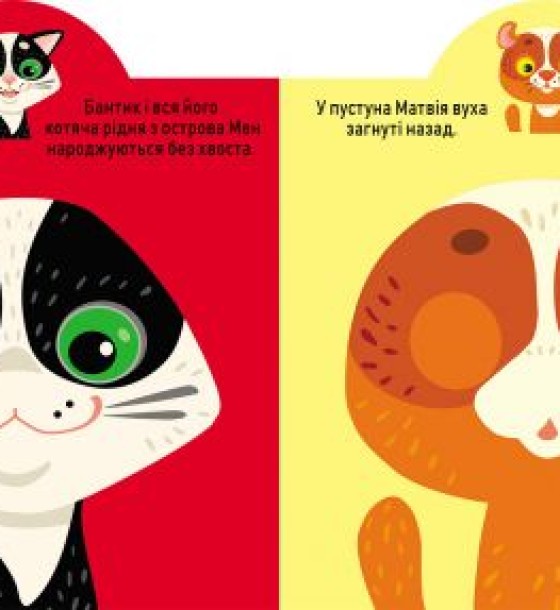 Книга "Играйка-Развівайка. Котики", 69 наклейок (укр)