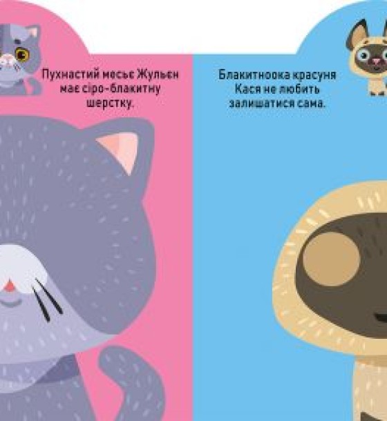 Книга "Играйка-Развівайка. Котики", 69 наклейок (укр)