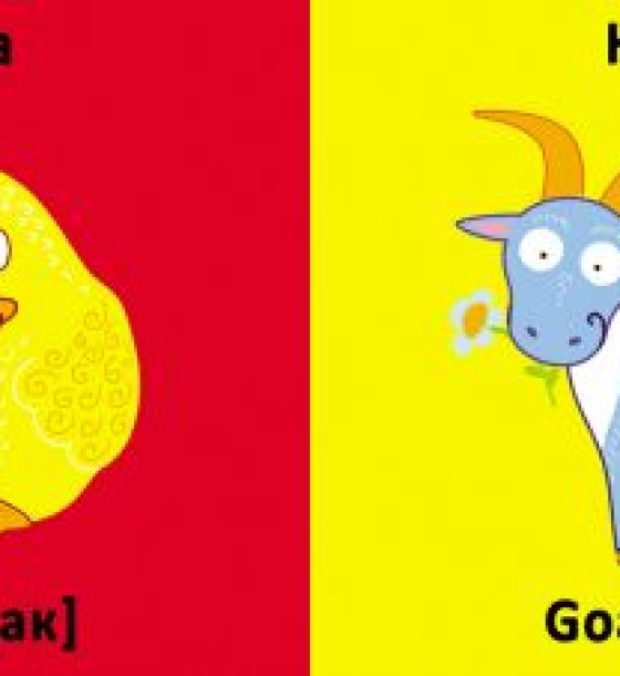 Книга-картонка "Веселі крутилки. Домашні тварини" (укр)