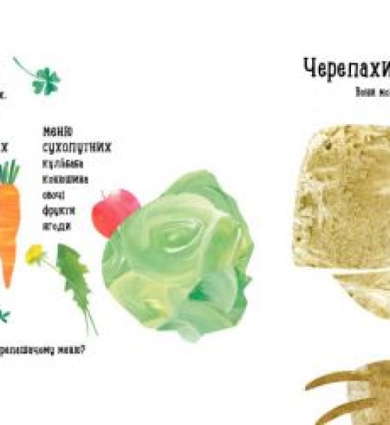Наталія Чуб "Куди поділася черепаха?"