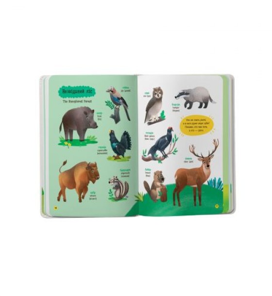 Книга "150 перших слів. Тварини"