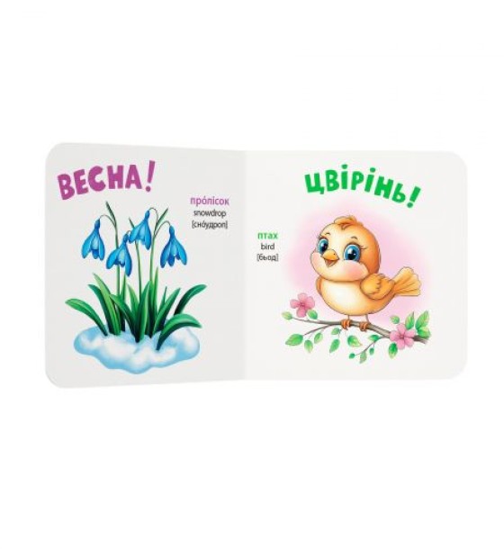 Книга "Розглядайка-розвивайка. Пори року"