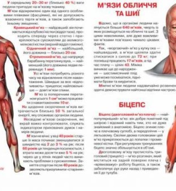 Книга "Велика книга. Анатомія людини" (укр)