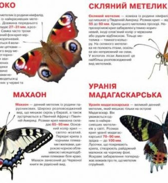 Книга "Велика книга. Метелики" (укр)