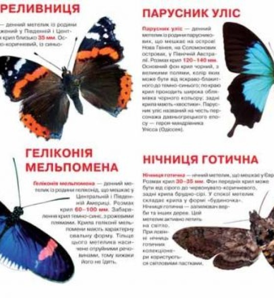 Книга "Велика книга. Метелики" (укр)