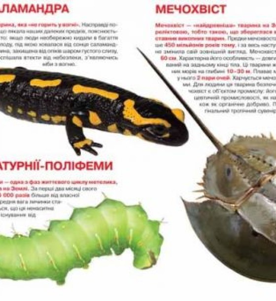 Книга "Велика книга. Рекорди тваринного світу" (укр)