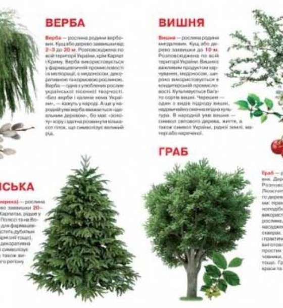 Книга "Велика книга. Рослинний світ України" (укр)