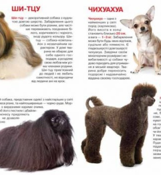 Книга "Велика книга. Собаки" (укр)