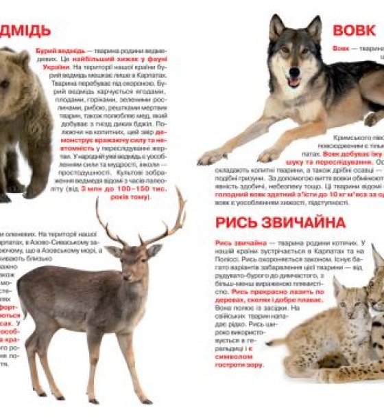 Книга "Велика книга. Тваринний світ України" (укр)
