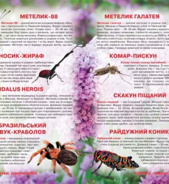 Книга "Ілюстрований атлас живої природи" (укр)