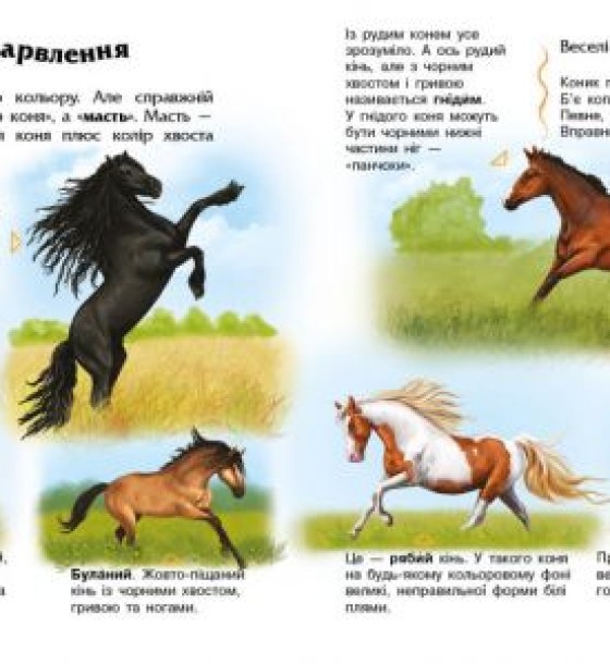 Книга "Энциклопедия дошкольника: Кони" (укр)